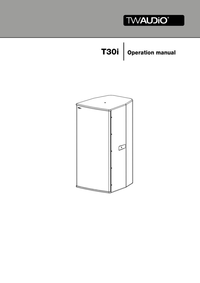 TW Audio T30i User manual TW Audio T30i User manual