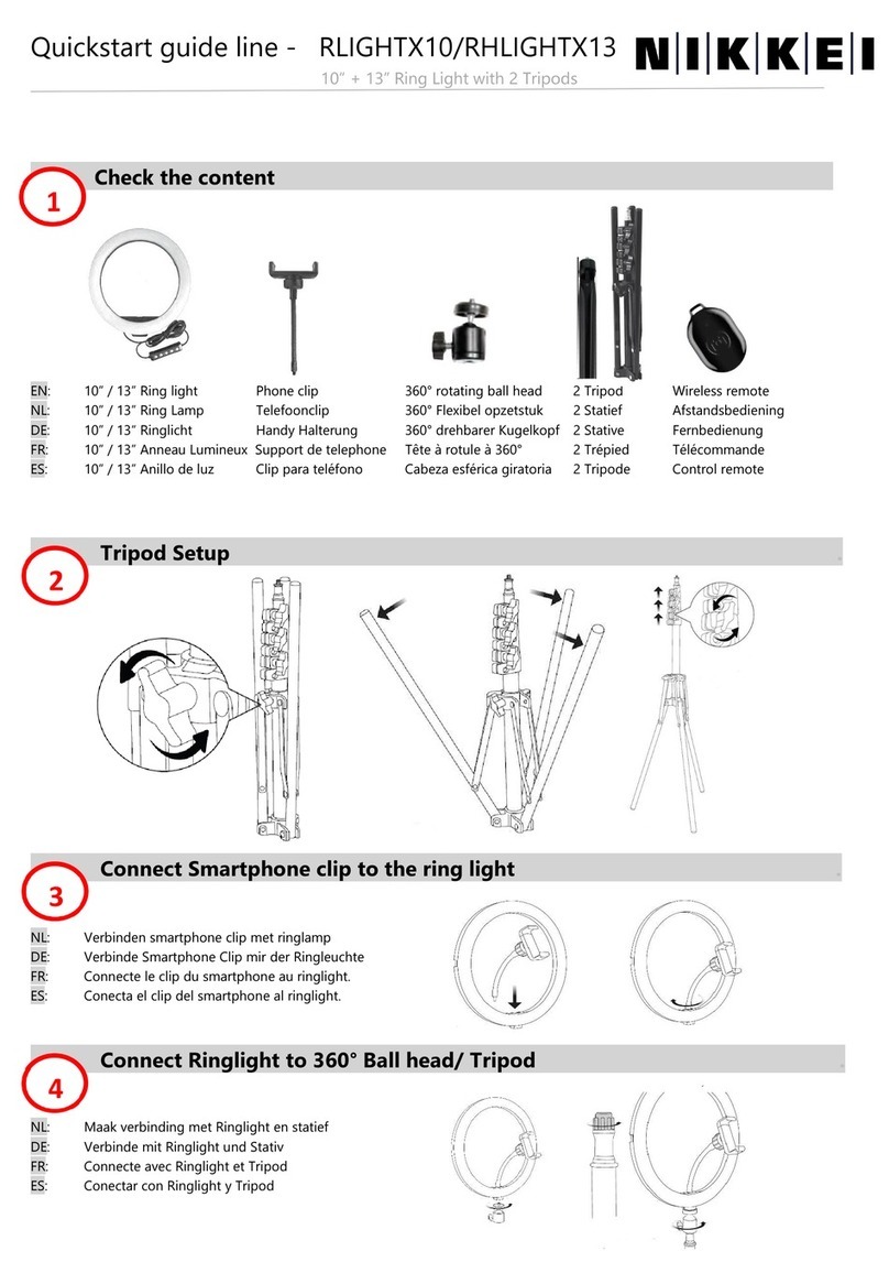Nikkei RLIGHTX10 quick start guide