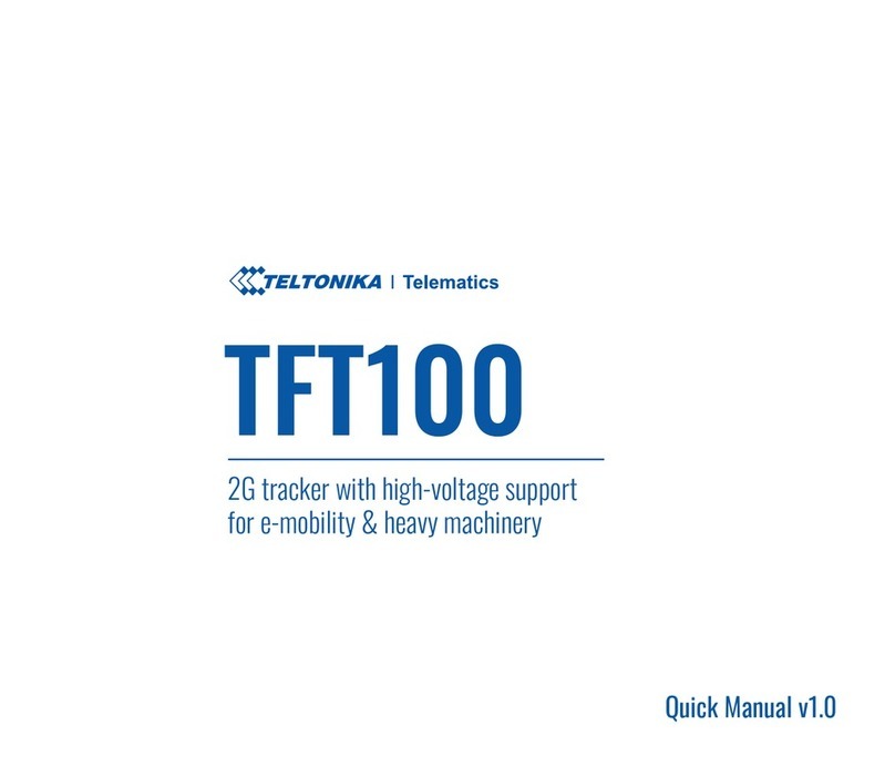 Teltonika TFT100 Quick manual