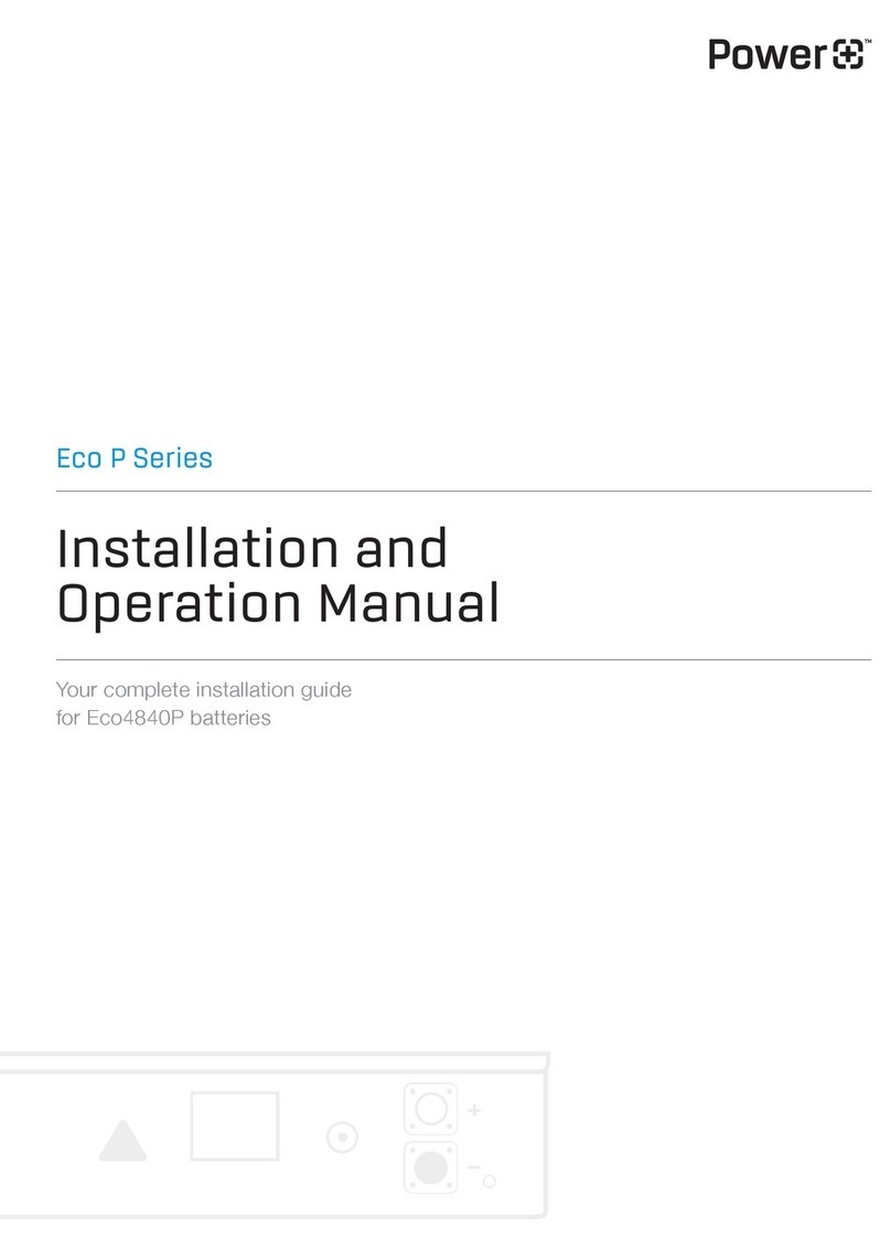 PowerPlus Energy Eco P Series User manual