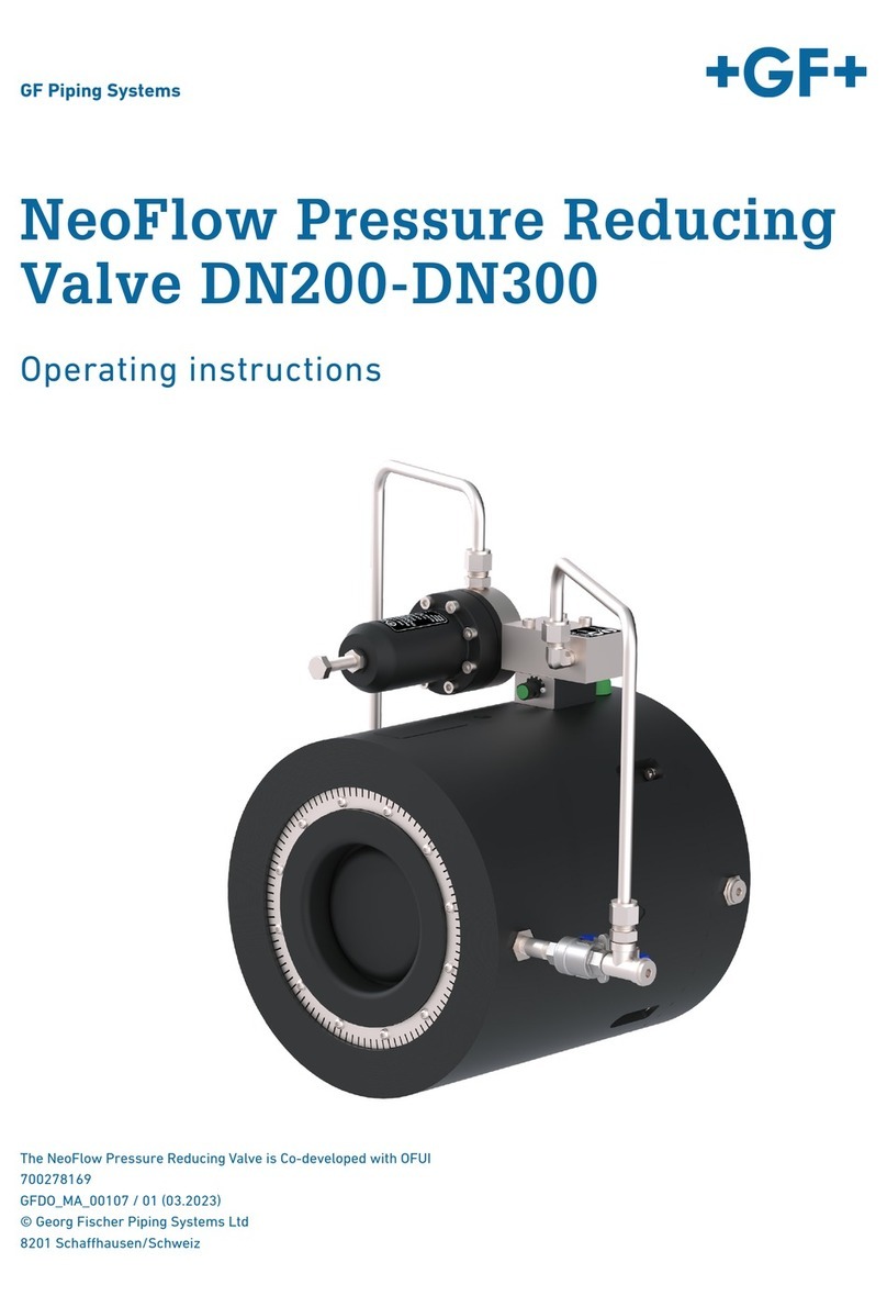 GF NeoFlow DN200 operating instructions
