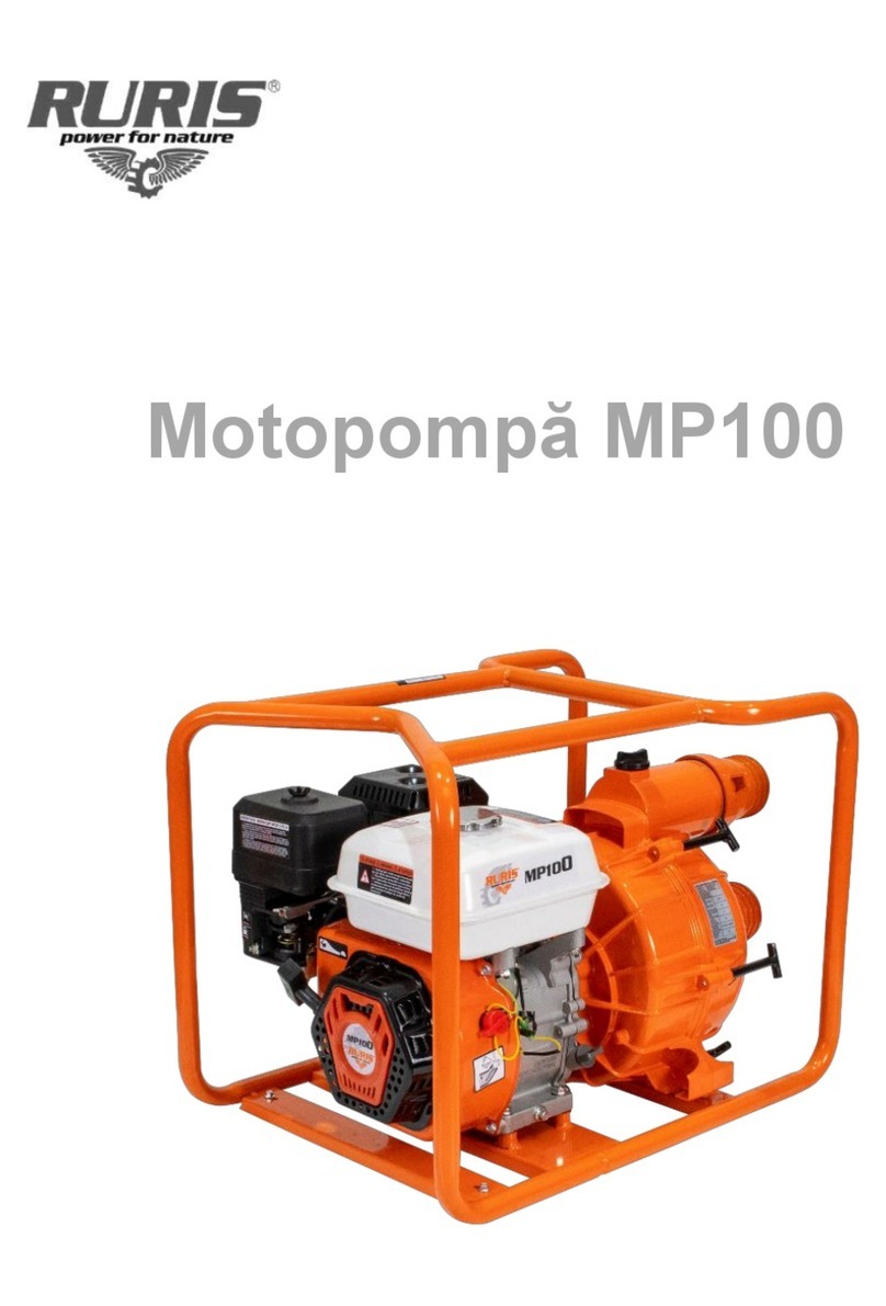 Ruris MP100 manual