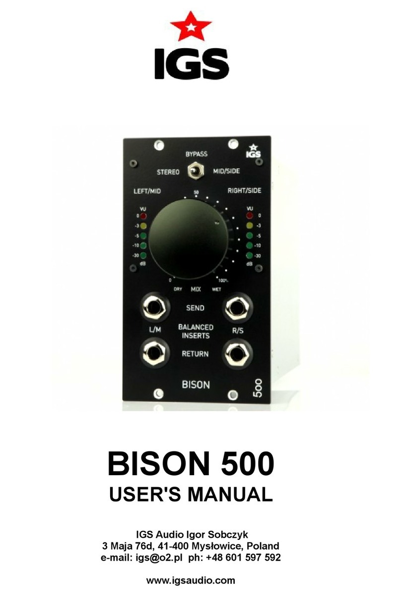 IGS BISON 500 user manual