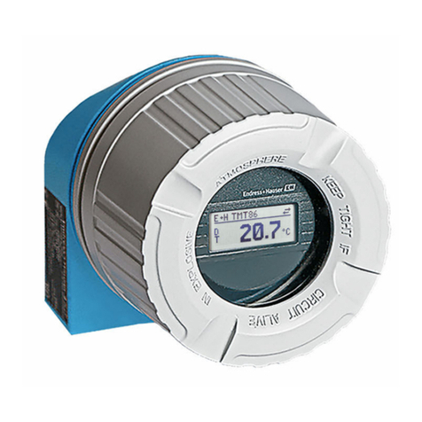 Endress+Hauser iTEMP TMT86 Technical specifications