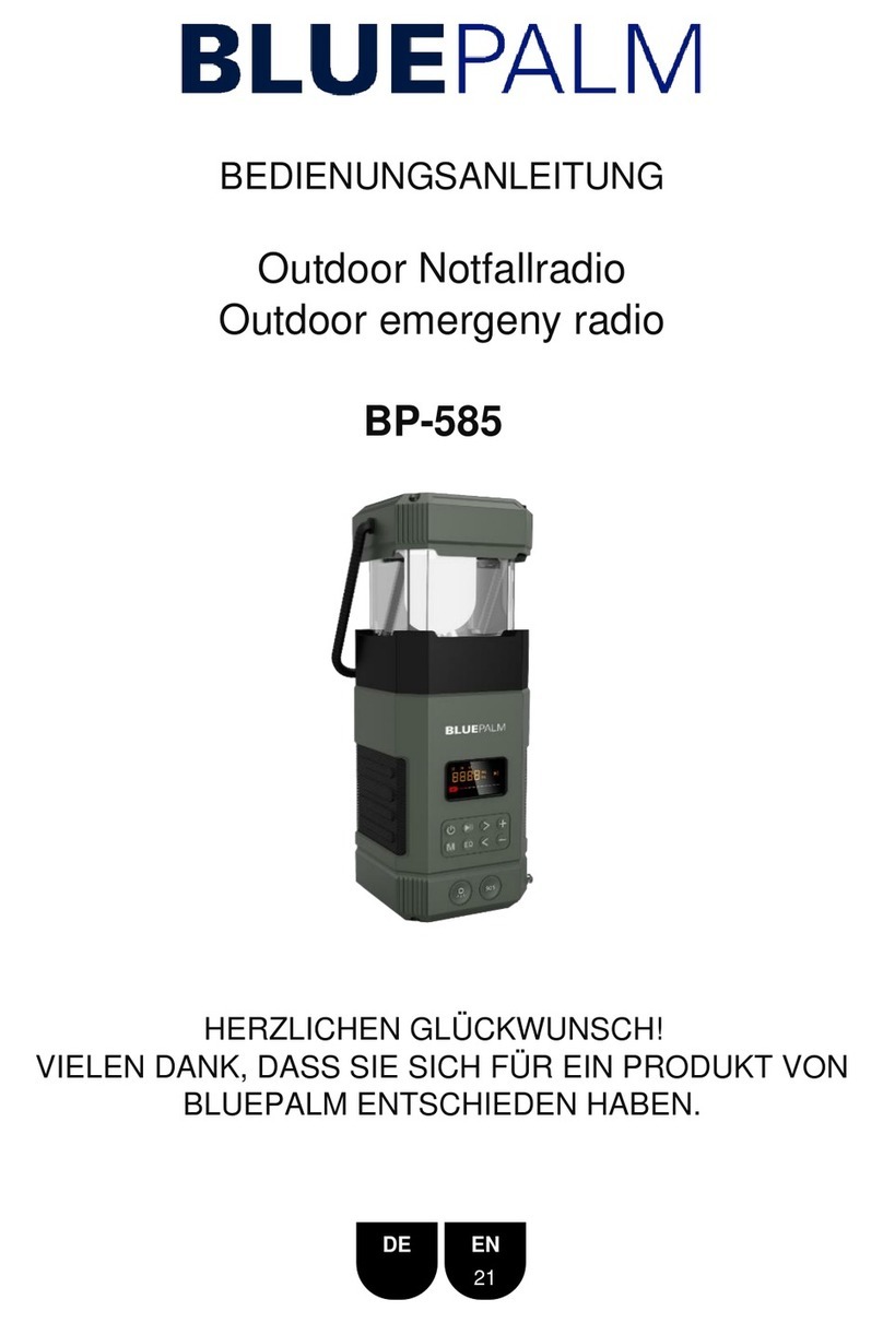 BLUEPALM BP-585 instructions