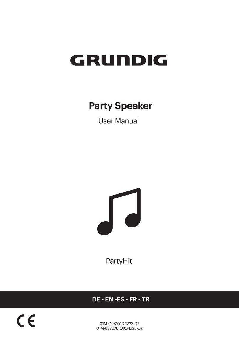 Grundig PartyHit User manual