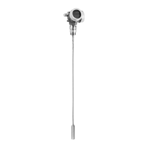 Endress+Hauser Levelflex FMP50 Manual