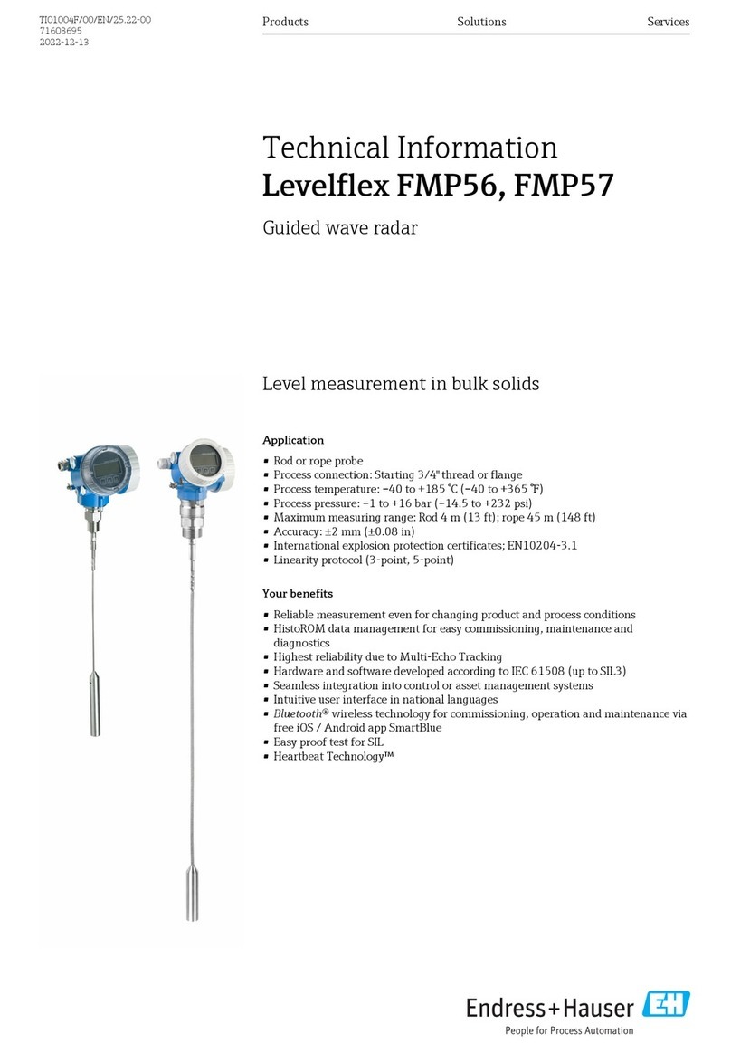Endress+Hauser Levelflex FMP56 Manual