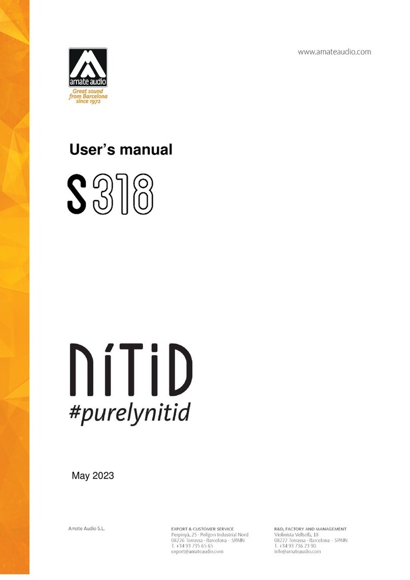 Amate Audio NITID S318 user manual