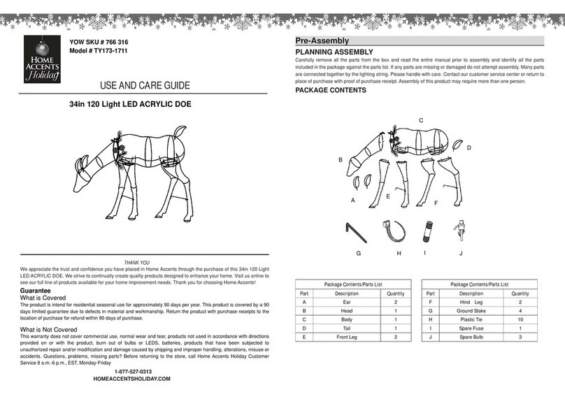 Home Accents Holiday TY173-1711 User manual