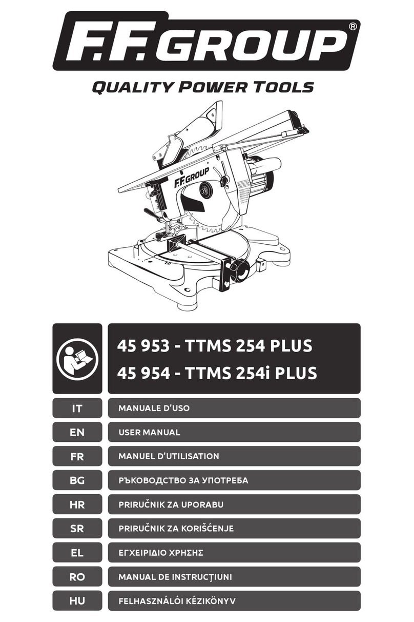 F.F. Group TTMS 254 PLUS User manual