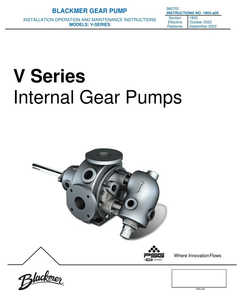 BLACKMER V Series Manual