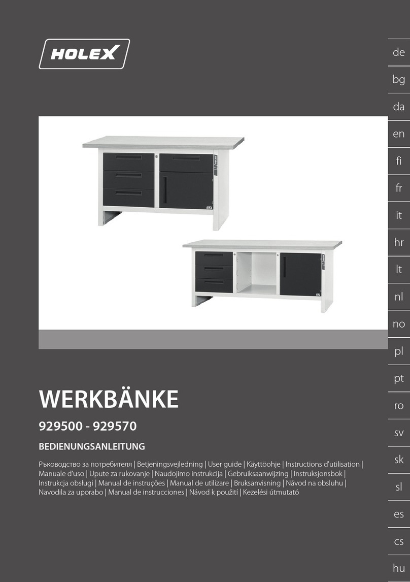 Holex 929500 user guide