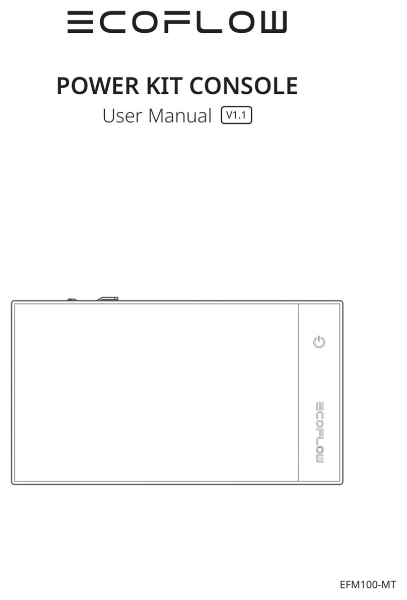 EcoFlow EFM100-MT user manual