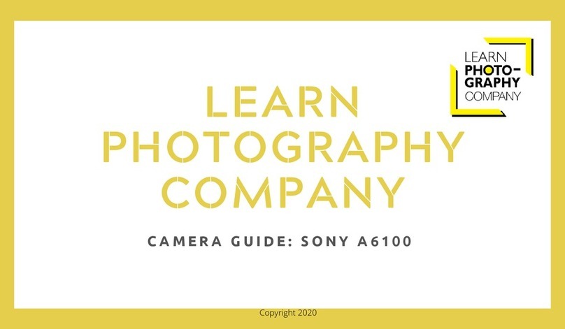 Sony A6100 User manual