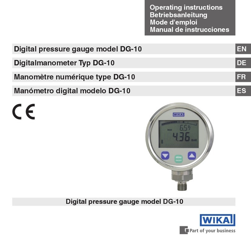 WIKA DG-10 User manual