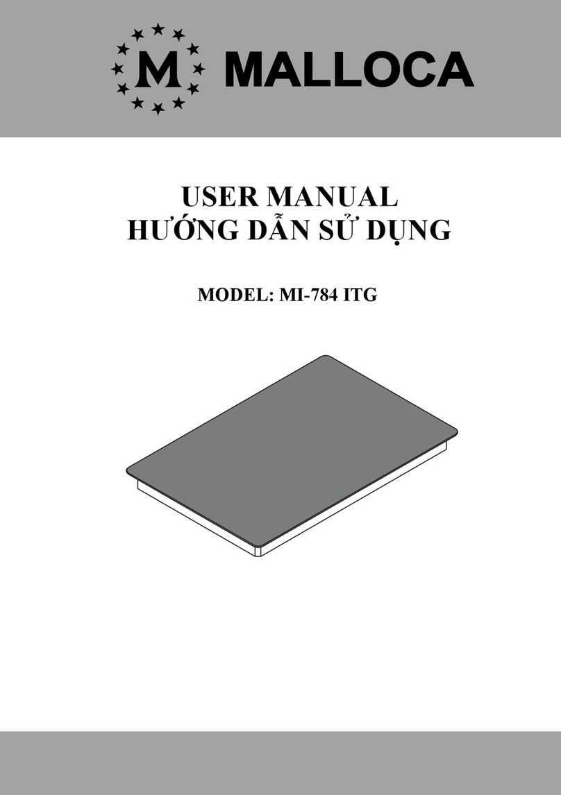 Malloca MI-784 ITG user manual