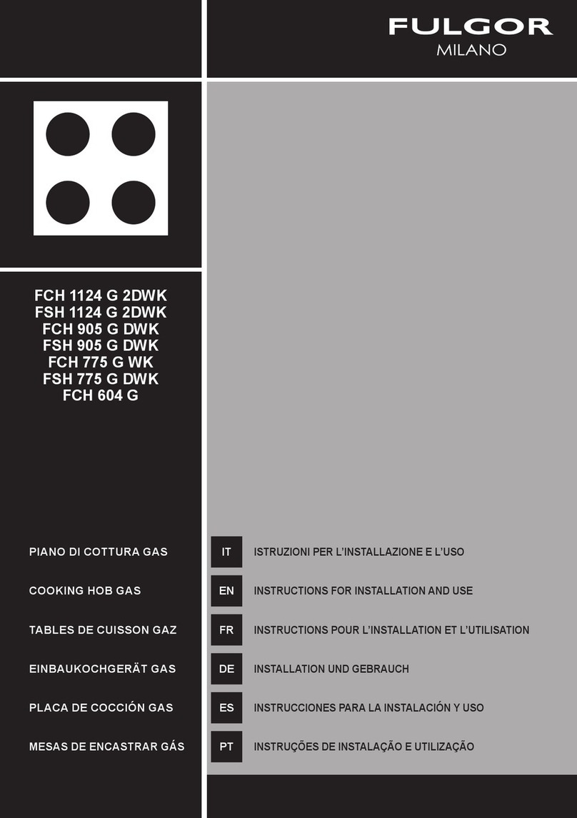 FULGOR LH 1124 G 2DWK Instructions for installation and use
