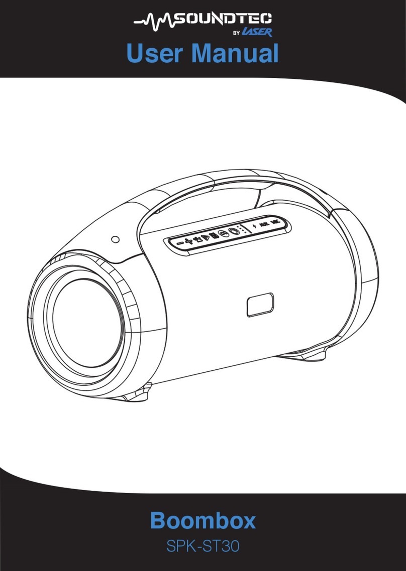 Laser SOUNDTEC SPK-ST30 user manual