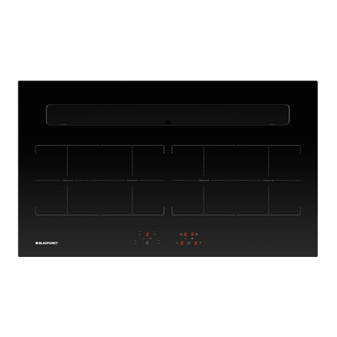 Blaupunkt 5IX94291 User manual