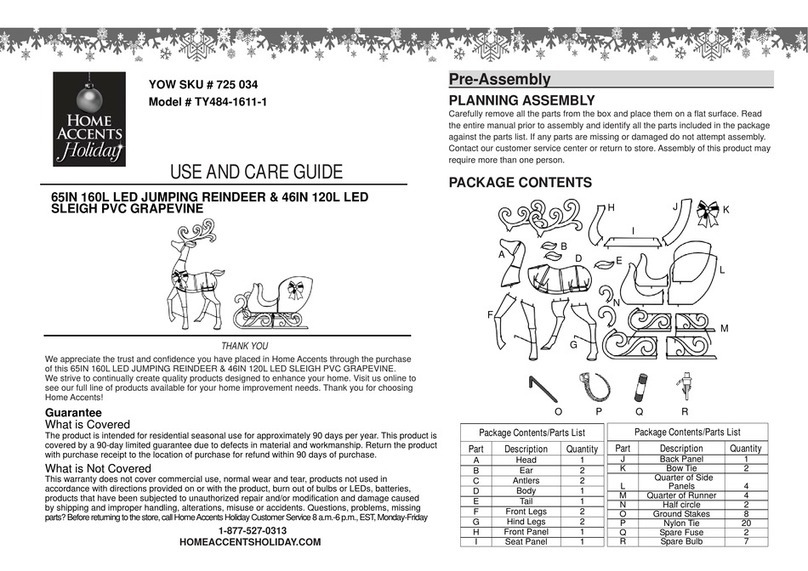 Home Accents TY484-1611-1 User manual