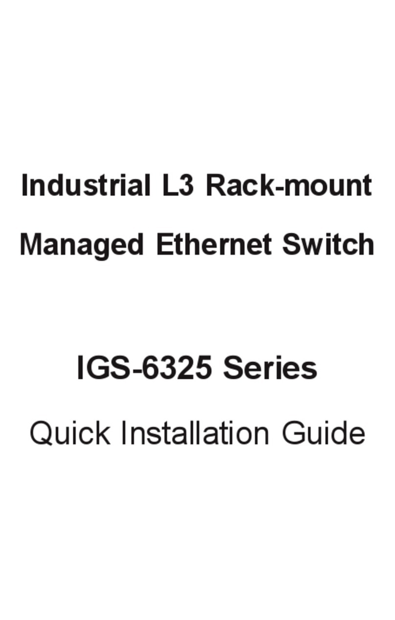 Planet IGS-6325 Series User manual