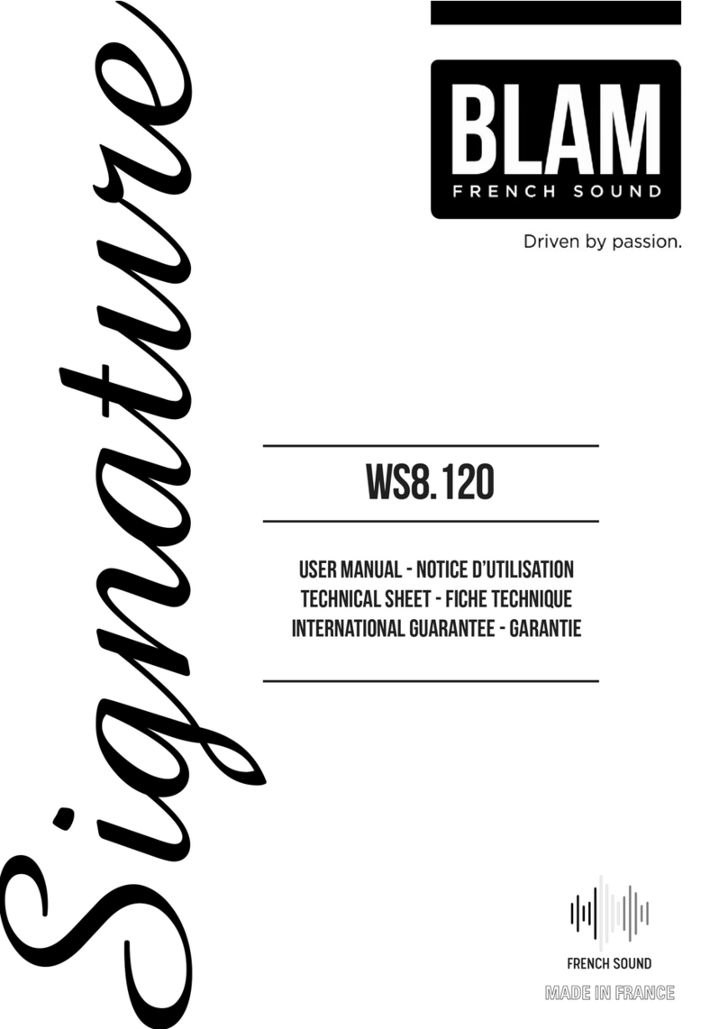 BLAM Signature WS8.120 user manual