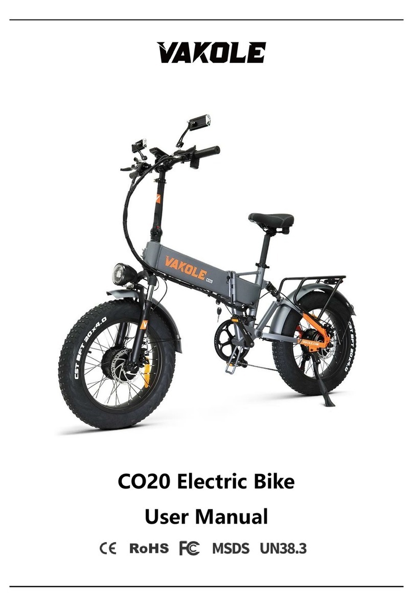 VAKOLE CO20 user manual