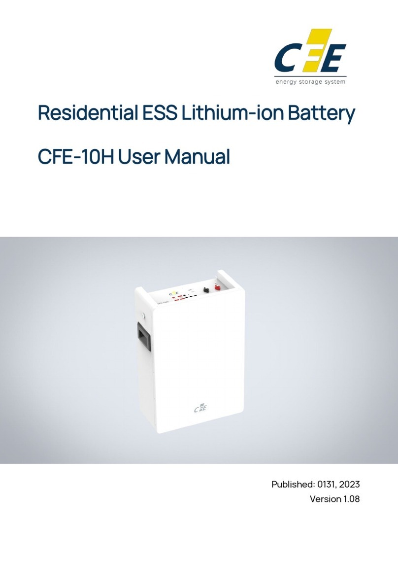 CFE CFE-10H User manual