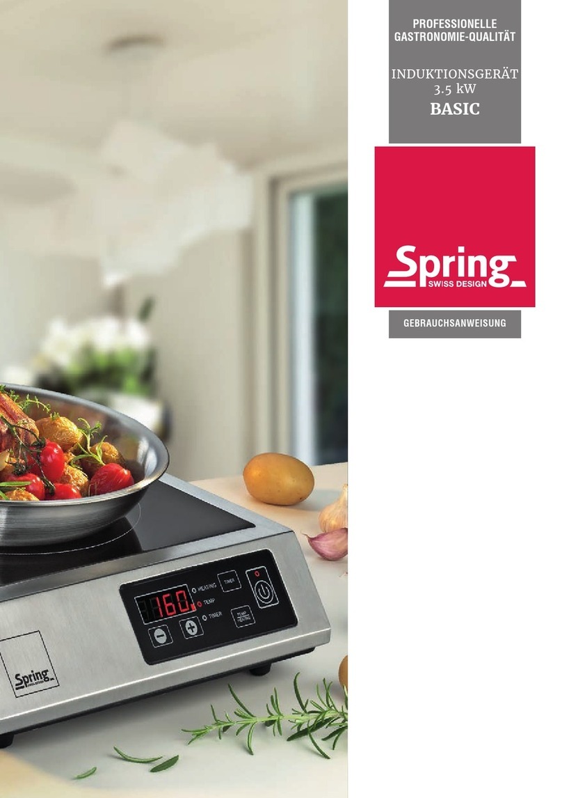 Spring 58 9135 35 01 User manual
