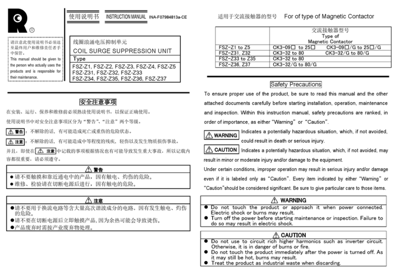 Riyue FSZ-Z1 User manual