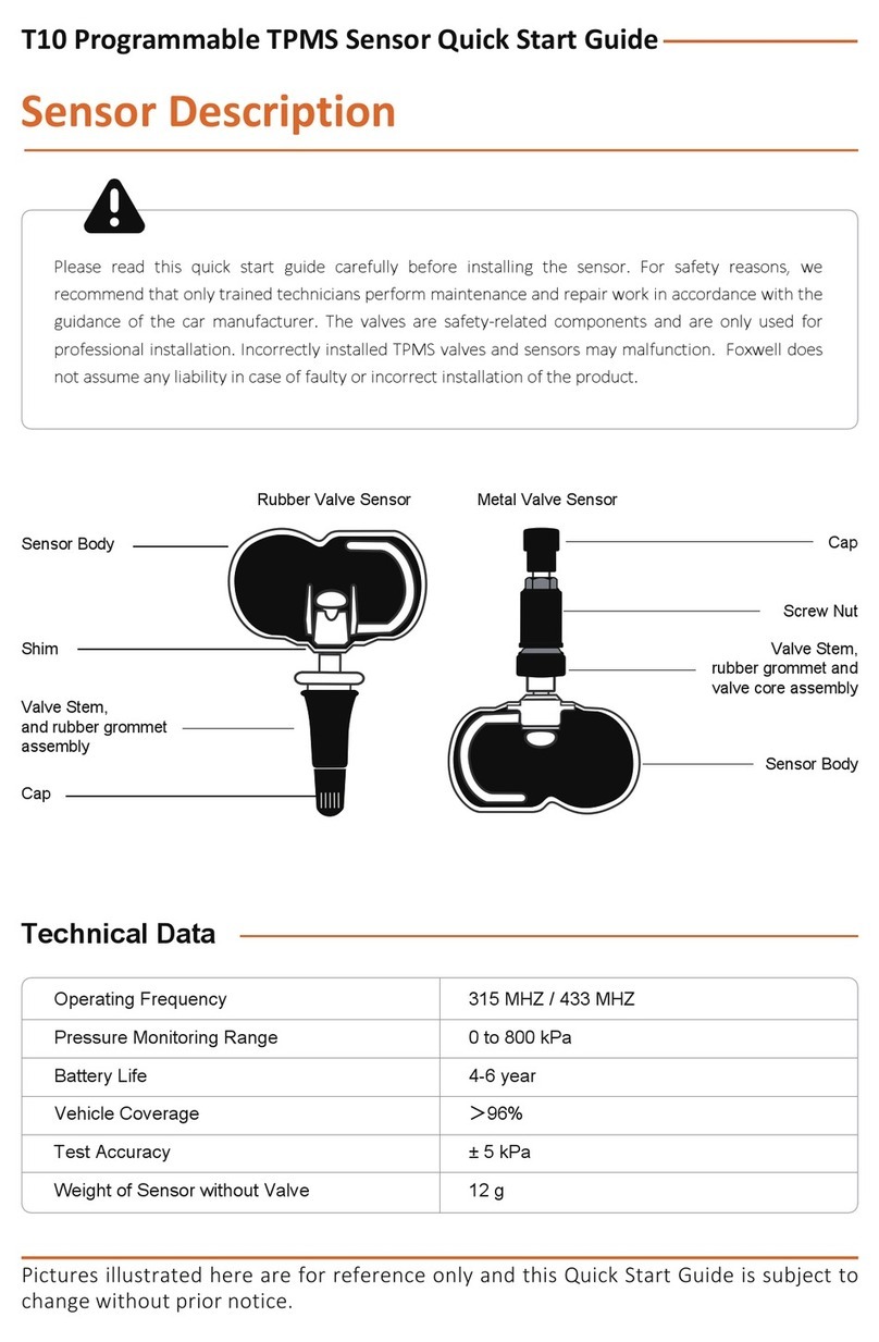 Foxwell T10 User manual