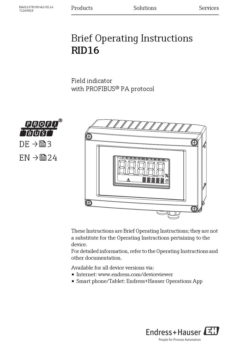 Endress+Hauser RID16 Technical specifications