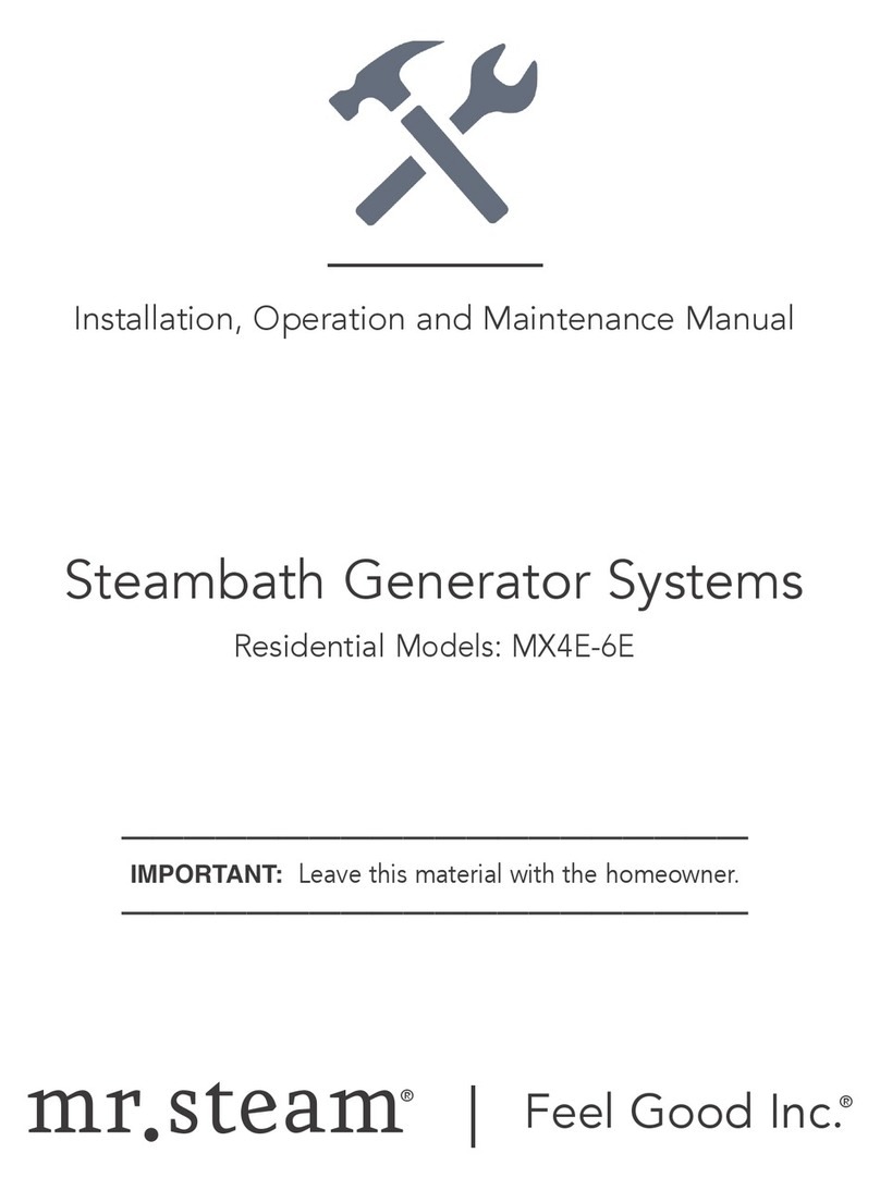 mr. steam MX6E User manual