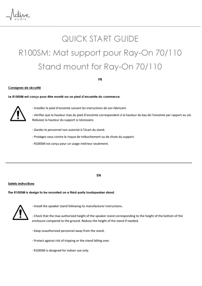 Active Audio R100SM User manual