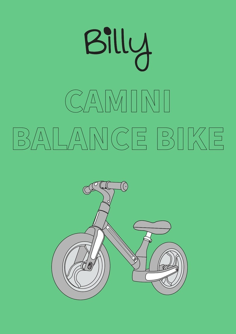 Billy CAMINI User manual