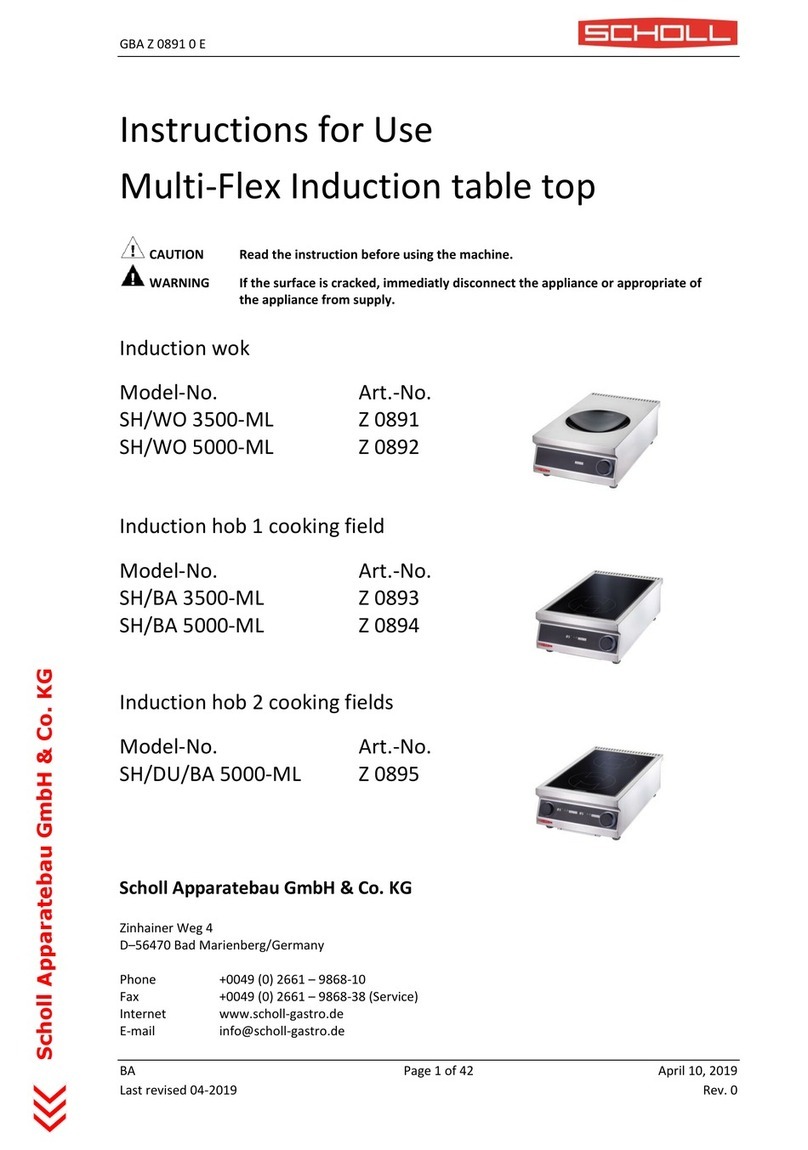Scholl SH 3500-ML User manual