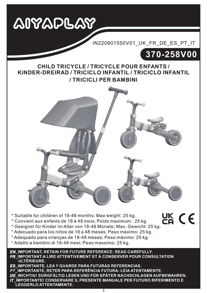 Aiyaplay 370-258V00 instructions