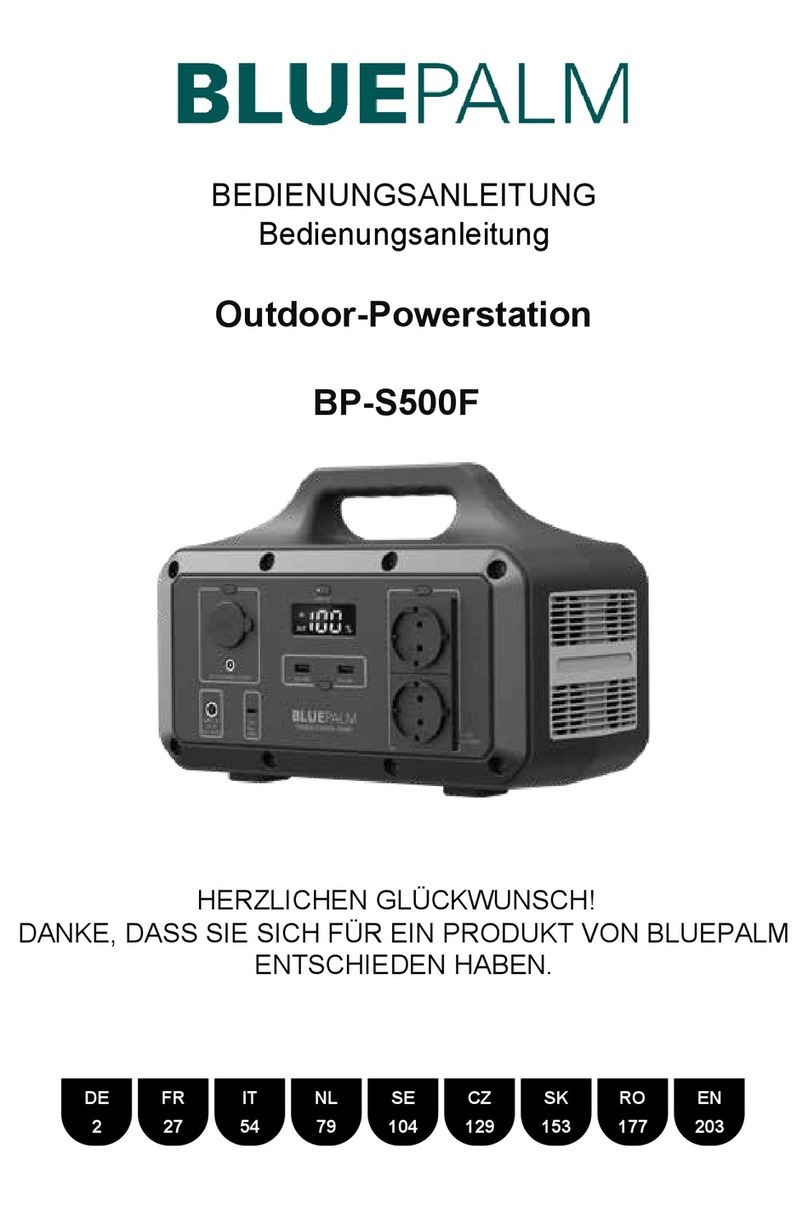 BLUEPALM BP-S500F User manual