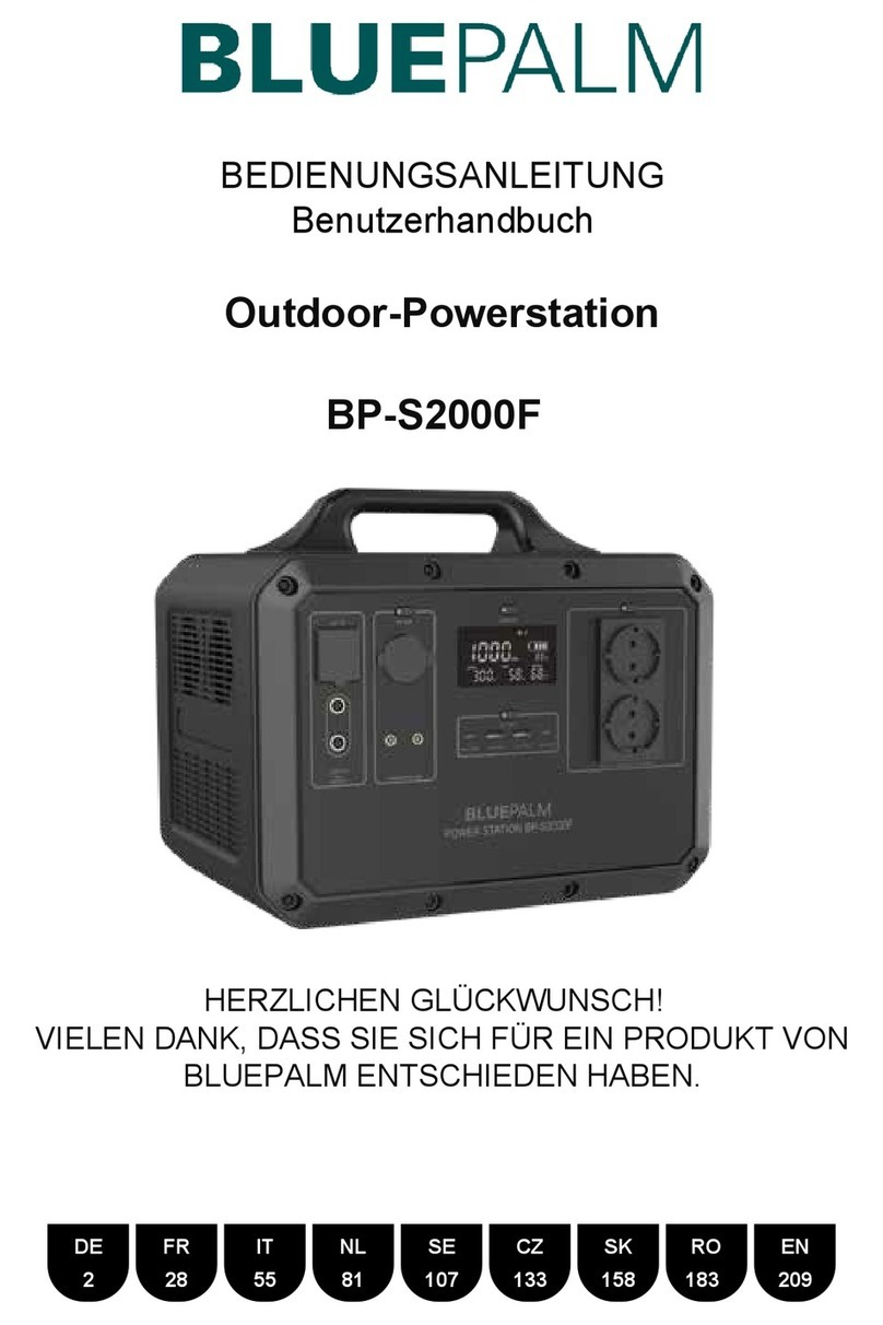 BLUEPALM BP-S2000F instruction manual