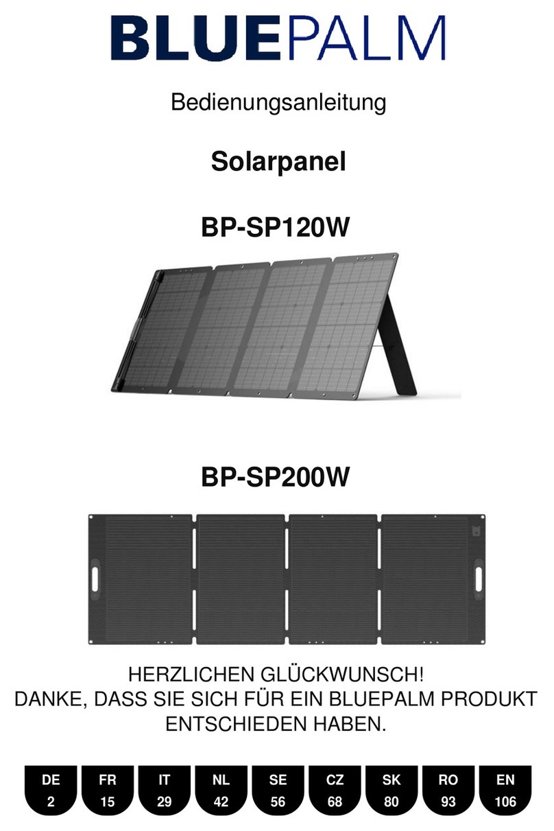 BLUEPALM BP-SP120W User manual