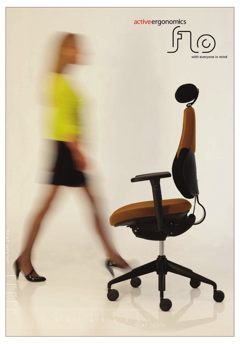 active ergonomics flo manual