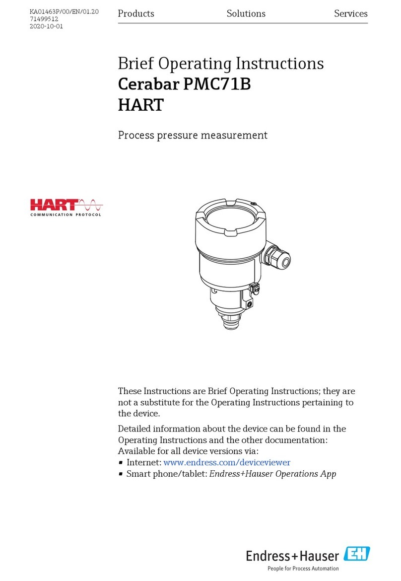 Endress+Hauser Cerabar PMC71B Brief operating instructions