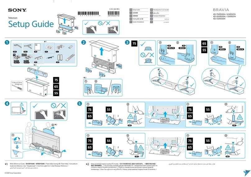 Sony BRAVIA KD-65X9507H Setup guide
