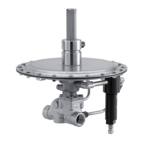Emerson Fisher ACE95 Series User manual