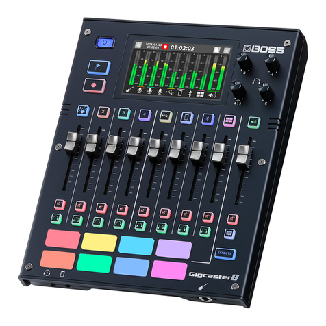 BOSSCO Gigcaster 8 Reference manual