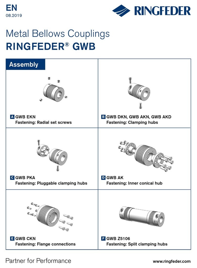 RINGFEDER GWB EKN Assembly