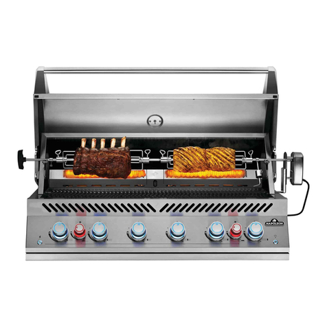 Napoleon BIG32 User manual Napoleon BIG32 User manual
