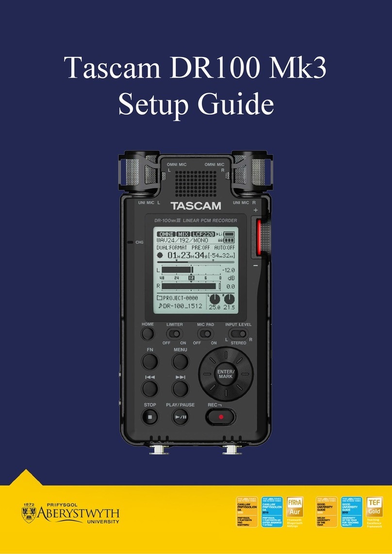 Tascam DR100 Mk3 User manual