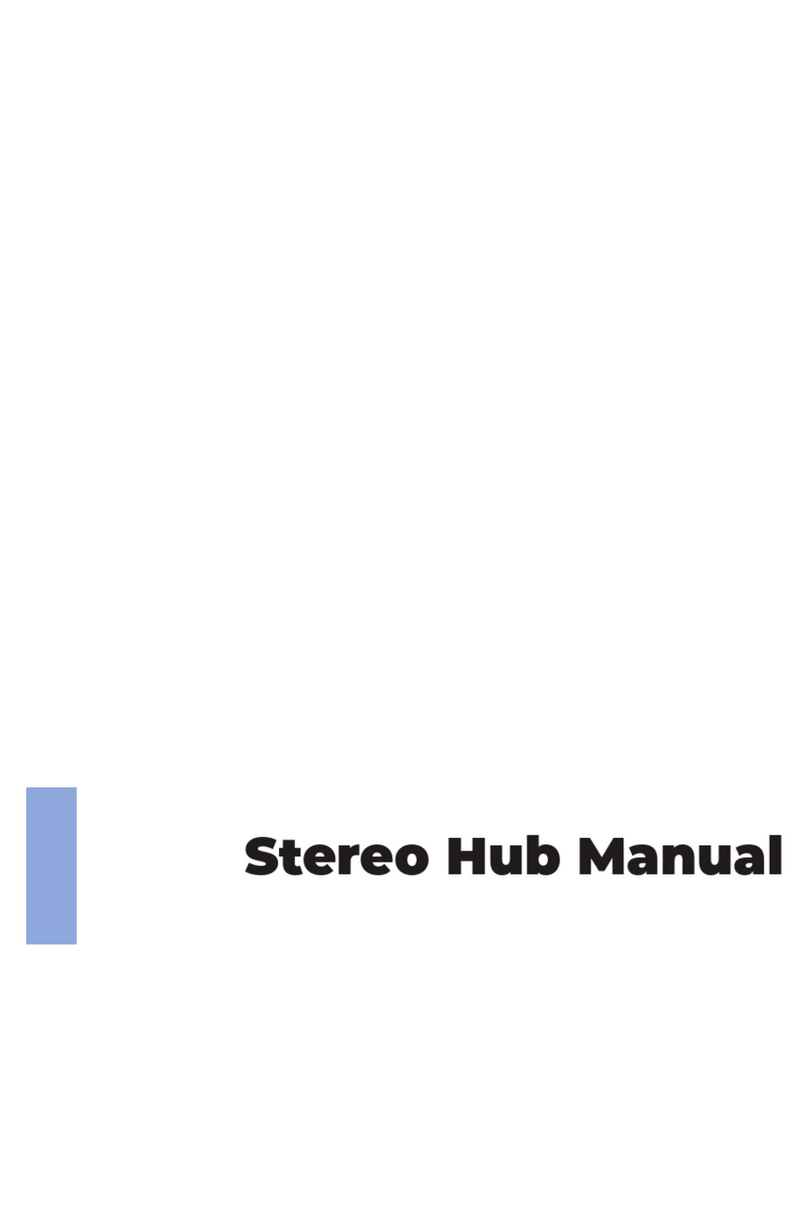 Platin Gate Technology Stereo Hub User manual